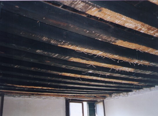 Cell 3